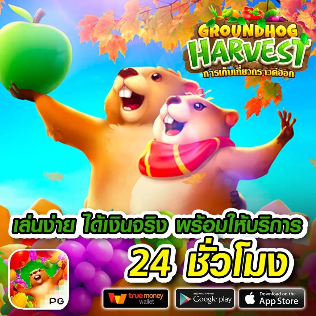 แท่งหวยออนไลน์24 เว็บหวยใหม่ล่าสุด สรุปผลรวดเร็วทันใจ